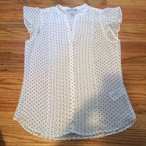 Semi Sheer Flutter Sleeve Top