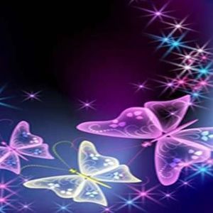 Meet your Posher, Traci