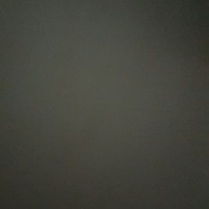 Meet your Posher, Preston