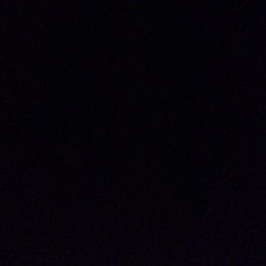 Meet your Posher, Bodnar