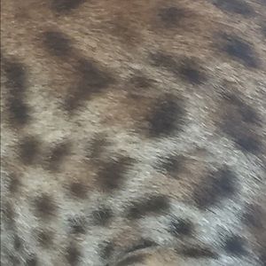 Meet your Posher, Danni