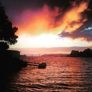 Meet your Posher, Shelley