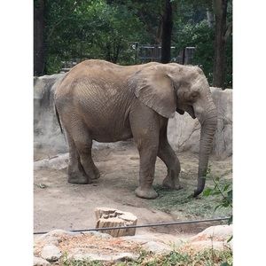 Meet your Posher, Katy