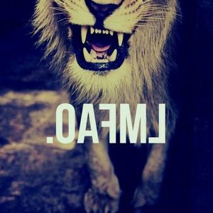 Meet your Posher, Suzanne