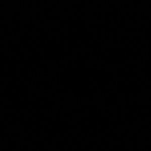 Meet your Posher, Alan