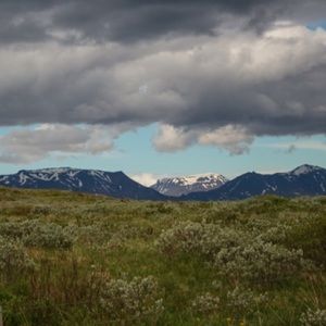 Meet your Posher, Ellie