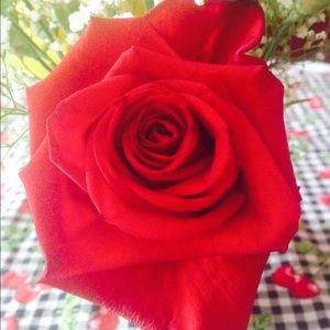 Meet your Posher, Hunter