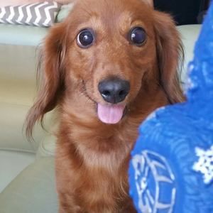 Meet your Posher, Kalai