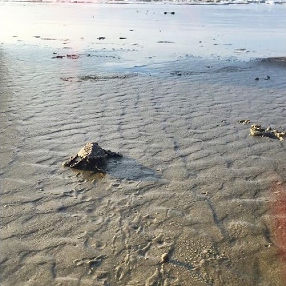 Meet your Posher, Kelli - Picture 1 of 1