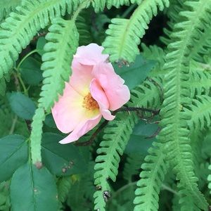 Meet your Posher, Kathy