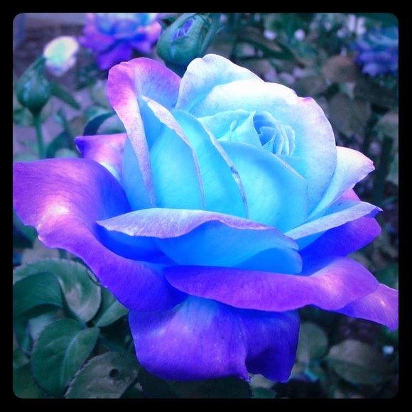 Nothing like shopping by the light of s Delta Moon