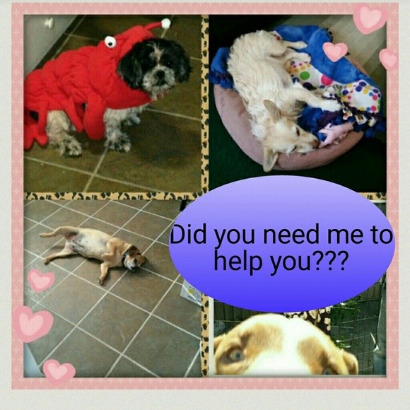 Meet your seller/buyer - Picture 2 of 4