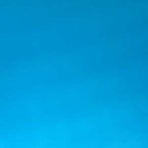 Meet your Posher, Daisy