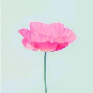 Meet your Posher, Marina