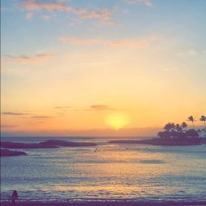 Meet your Posher, Holly