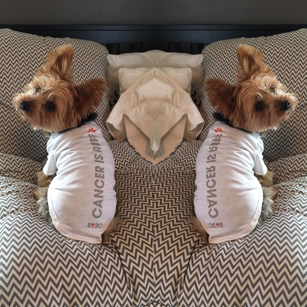 Welcome! 💗🐰 xx, Bunny - Picture 8 of 8