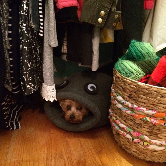 Welcome! 💗🐰 xx, Bunny - Picture 4 of 8