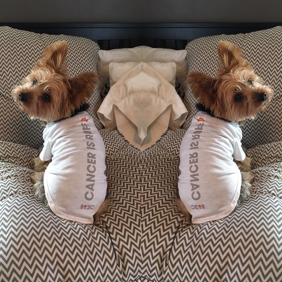 Welcome! 💗🐰 xx, Bunny - Picture 8 of 8