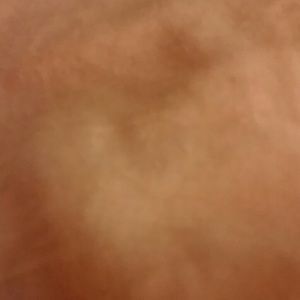 Meet your Posher, Bailey