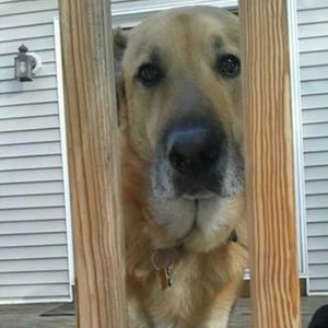 Meet your Posher, Miranda