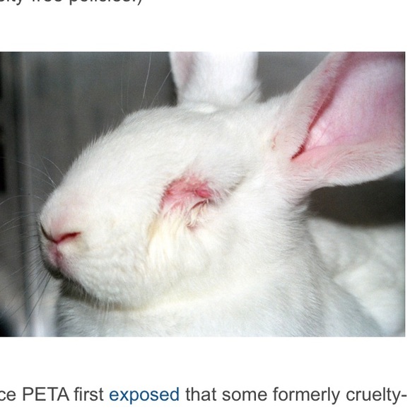 DO NOT BUY FROM VICTORIA'S SECRET! - Picture 3 of 4