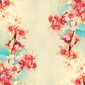 Meet your Posher, Summer