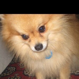 Meet your Posher, Mayra