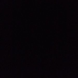 Meet your Posher, Katya