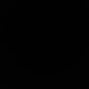 Meet your Posher, Pilez