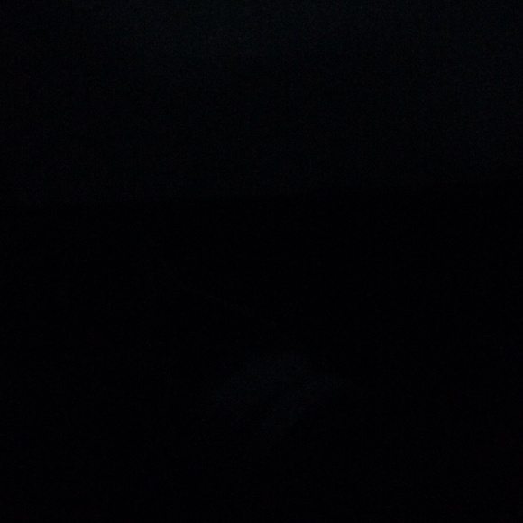 Meet your Posher, Delilah - Picture 1 of 1