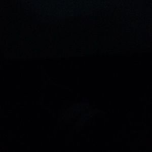 Meet your Posher, Delilah