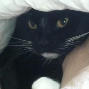 Meet your Posher, Dawne