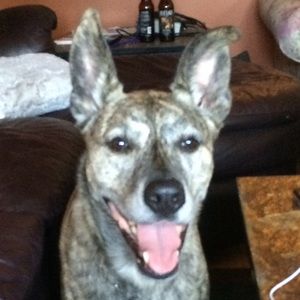 Meet your Posher, Brittany