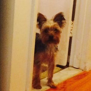 Meet your Posher, Marshelle