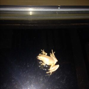 Meet your Posher, Jillian