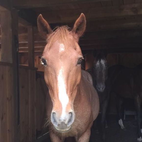 Meet your Posher, Jennifer