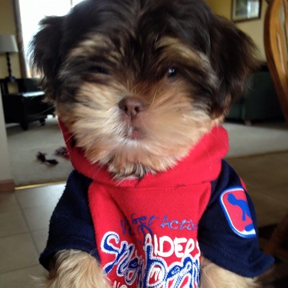 Meet your Posher, Tammy - Picture 1 of 1