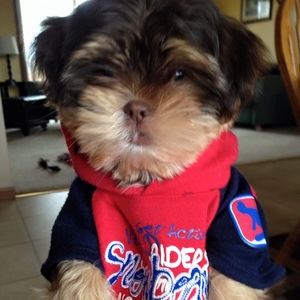 Meet your Posher, Tammy