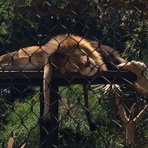 Meet your Posher, Dan