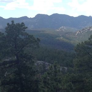 Meet your Posher, Cassie