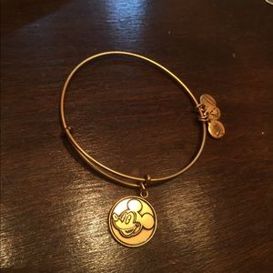 Micky mouse Alex and ani