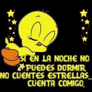 Meet your Posher, Judis