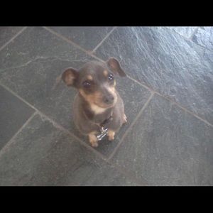 Meet your Posher, Marcy