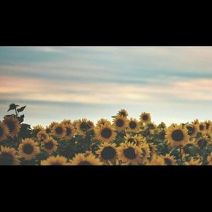 Meet your Posher, Nadia