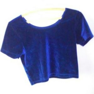 Blue Velvet Crop Top