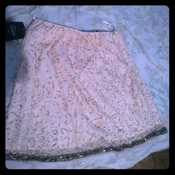 Zara skirt NWT