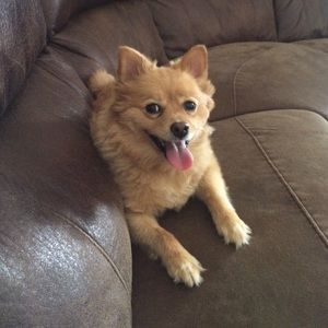 Meet your Posher, Jodi