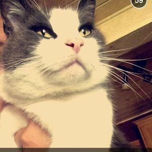 Meet your Posher, Hanna