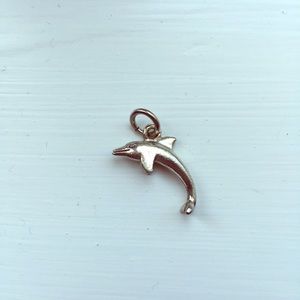 Dolphin necklace