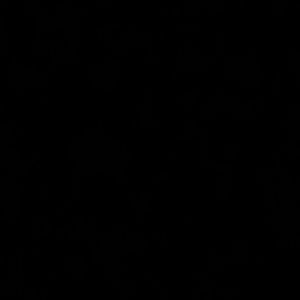 Meet your Posher, Randy